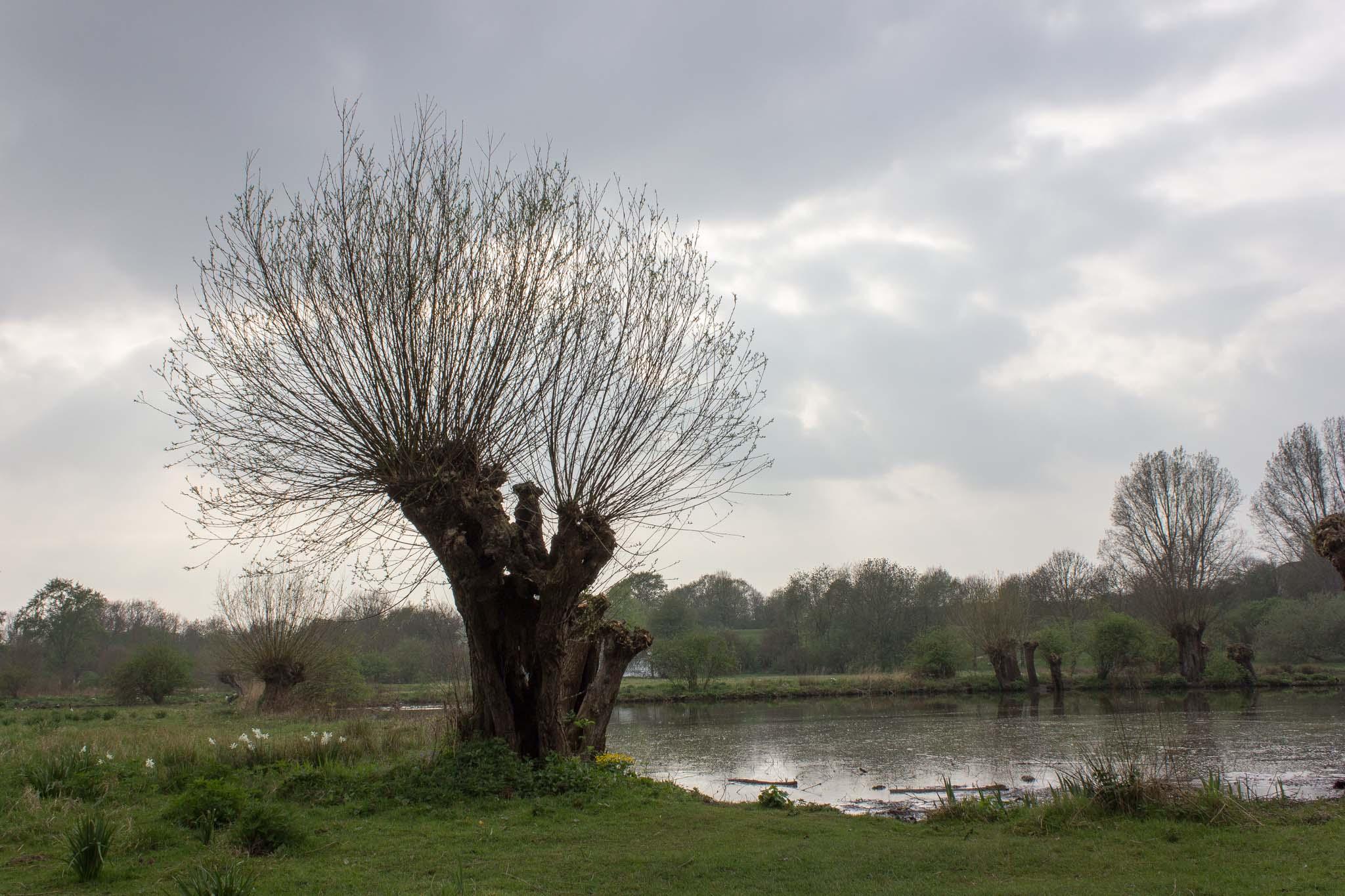 Museum Insel Hombroich